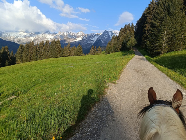 Balade à poney face à la chaîne des Aravis