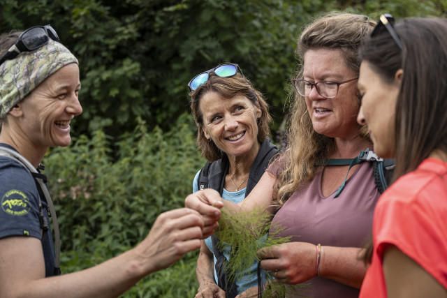 découverte des vertus culinaires des plantes de montagnes