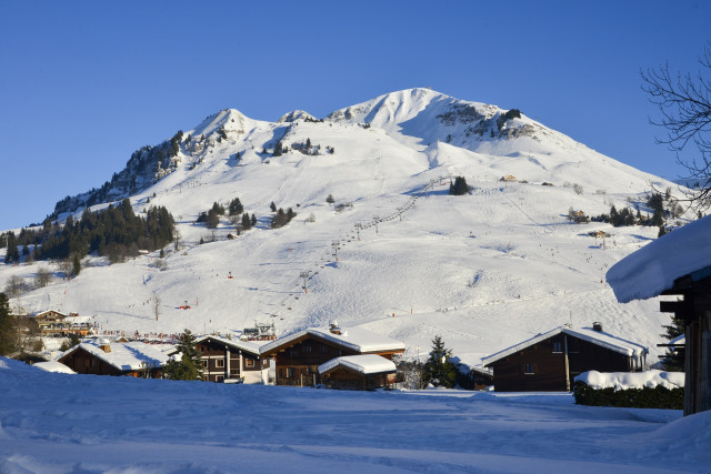 Vue sur le domaine skiable depuis le Chinaillon