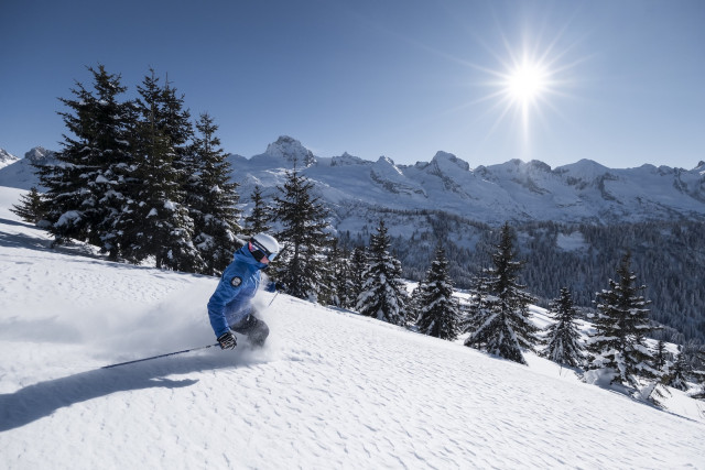 ski-1600-1120389