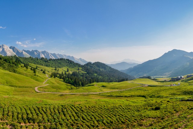 Journée Balade Pastorale