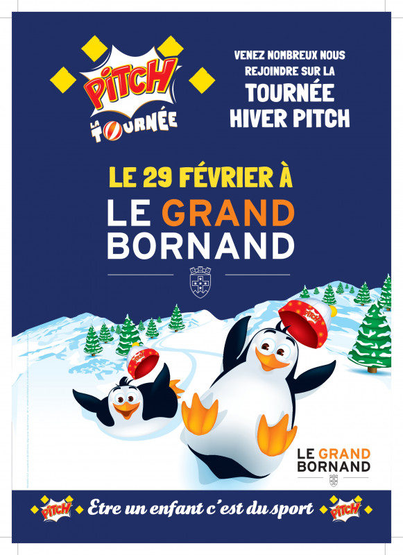 Affiche Pitch