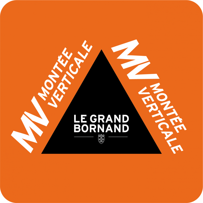 logo montée verticale