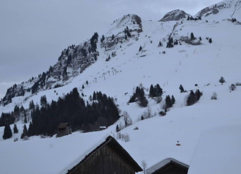 Chalets du Torrent B
