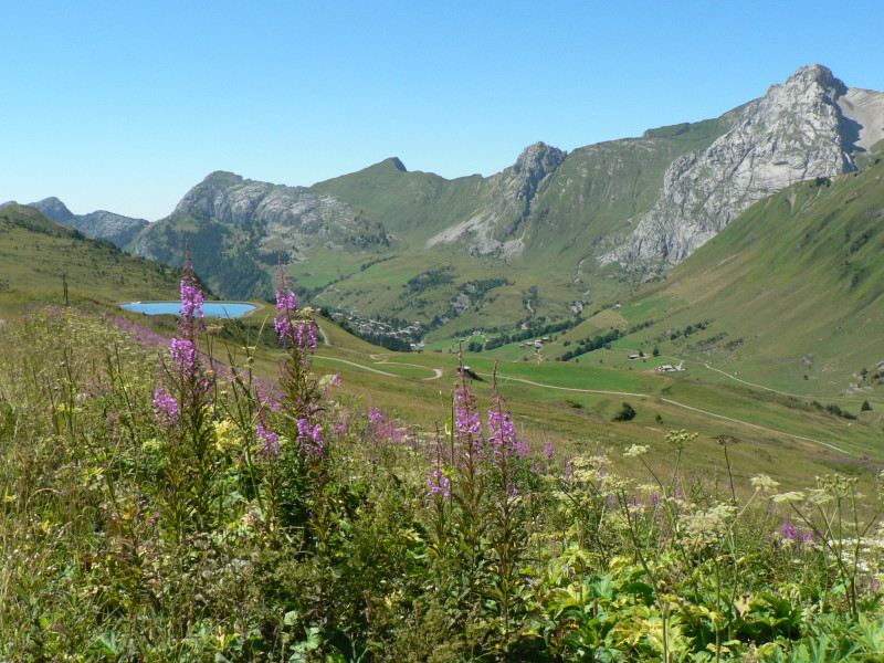Tour du Mont Lachat