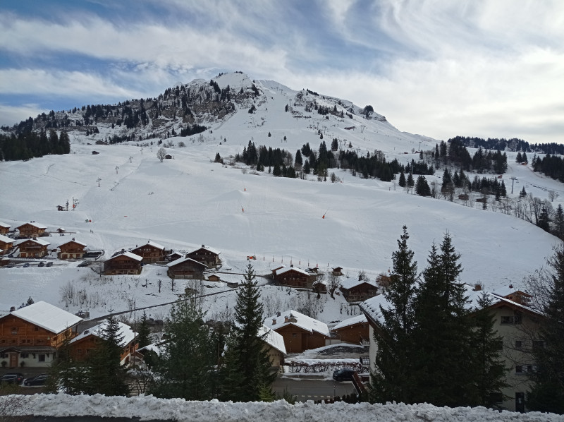Etoile des Neiges