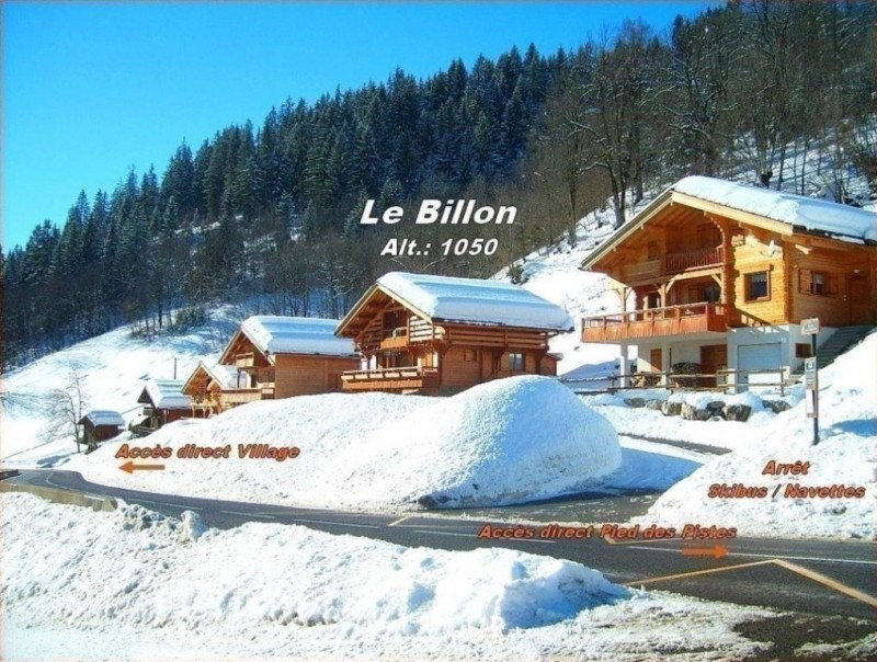 Billon
