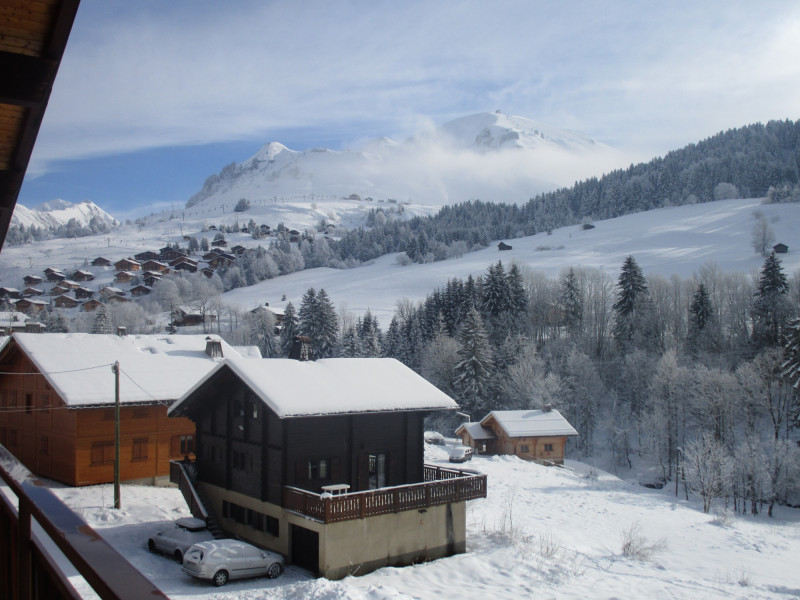 Fleurs des Alpes
