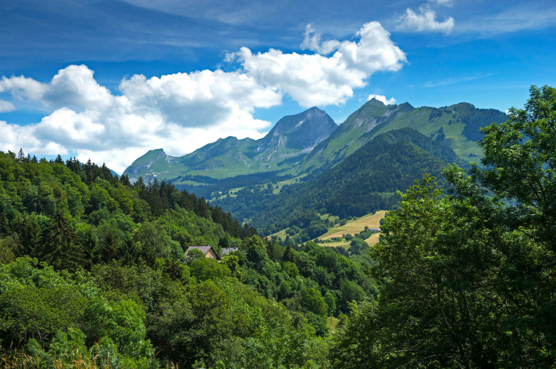 Col de l'Epine