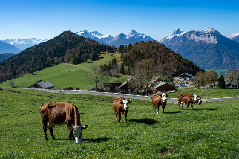 Col de la Forclaz
