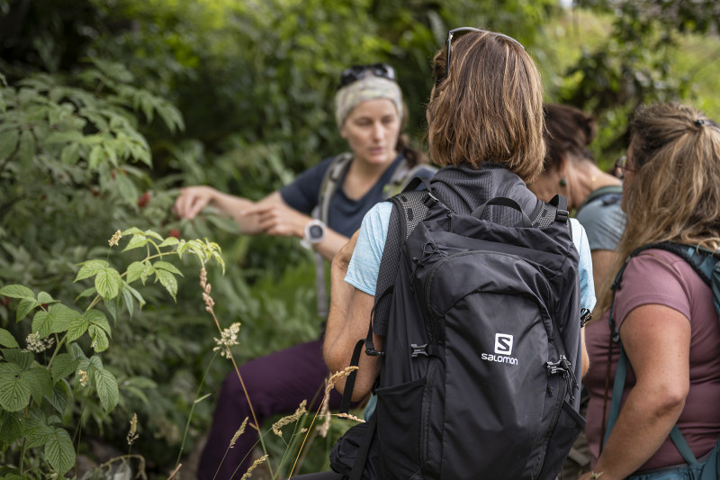 randonnée cueillette des plantes dans la forêt du mont au Grand-Bornand