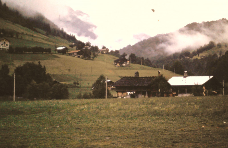 la_maison_du_patrimoine_m_georges_hofman.jpg