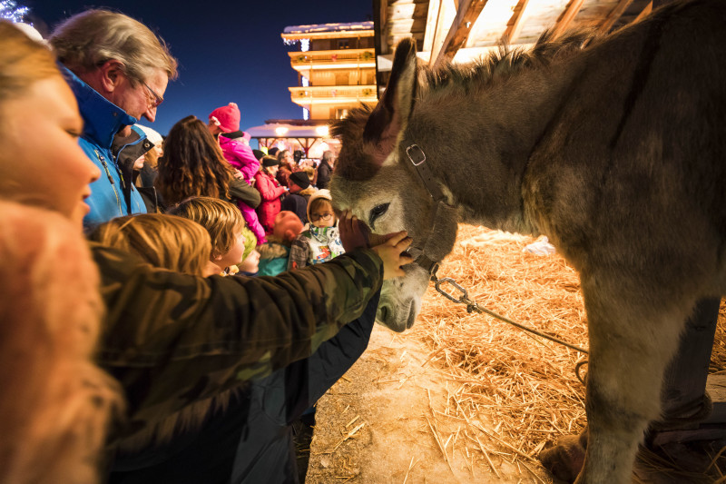 Crèche vivante pour Noel au Grand-Bornand