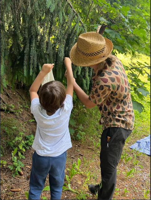 Workshop 7-11 years Gathering and making spruce and fir syrup_Le Grand-Bornand