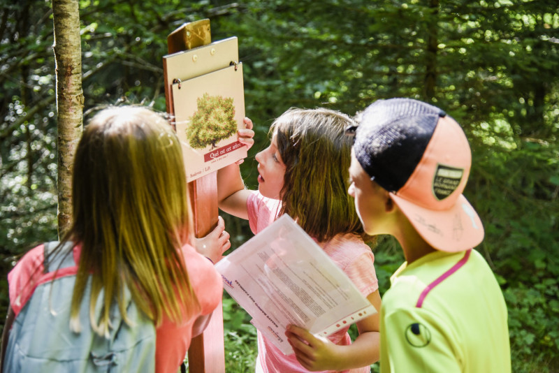 nature escape game